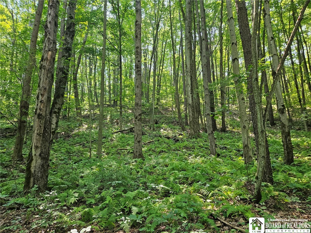 0 Steam Valley Road Olean, NY 14760 - Photo 9 of 20