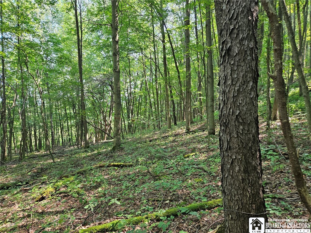 0 Steam Valley Road Olean, NY 14760 - Photo 10 of 20