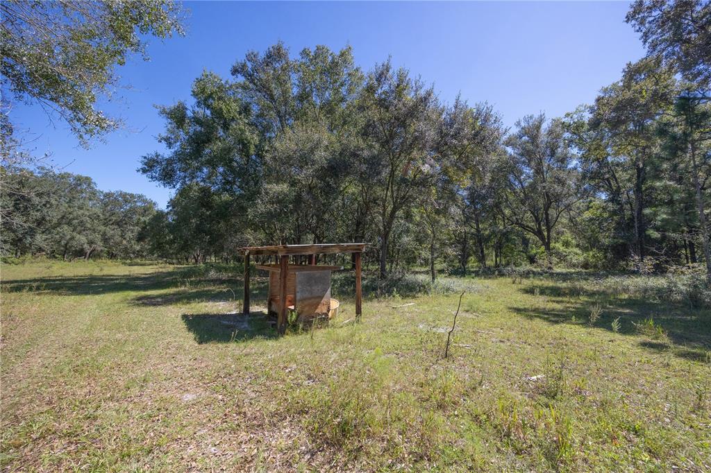 673 Webster Webster, FL 33597 - Photo 28 of 69 Gallery Image 28