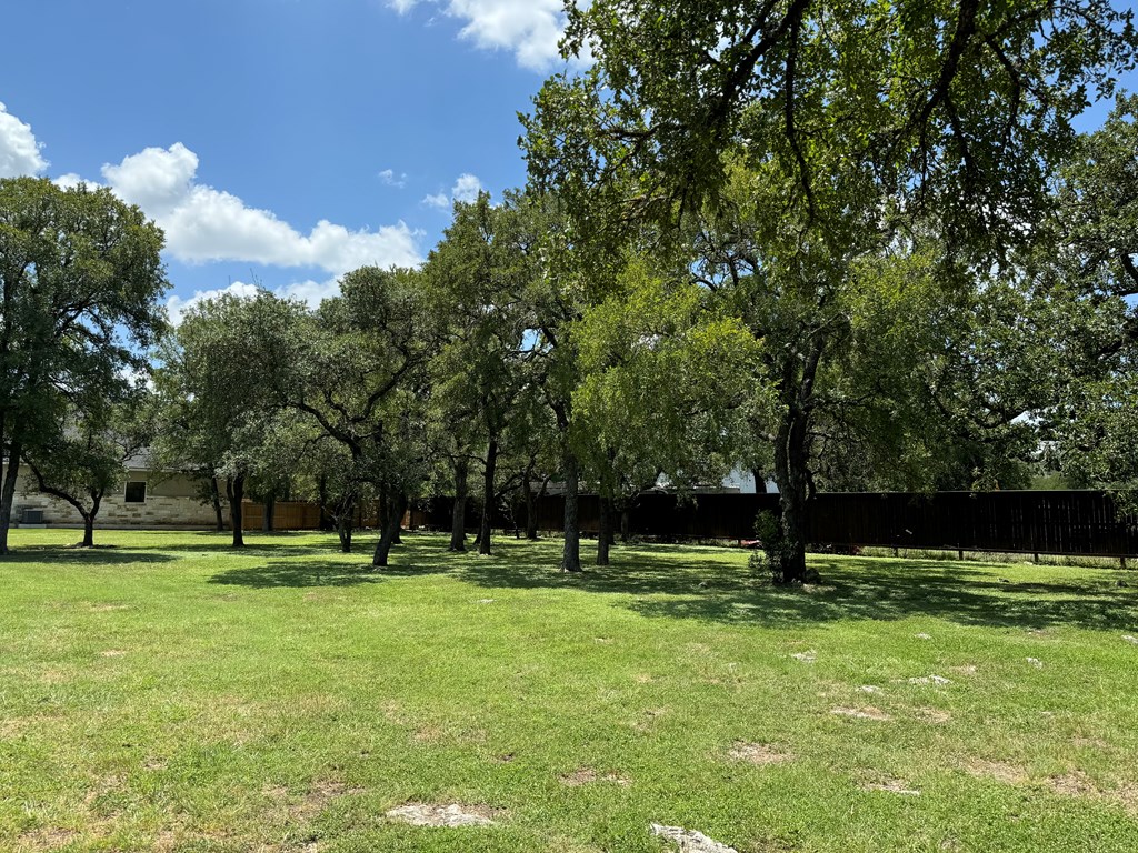 506 Carriage House, Unit 45 Spring Branch, TX 78070 - Photo 2 of 6