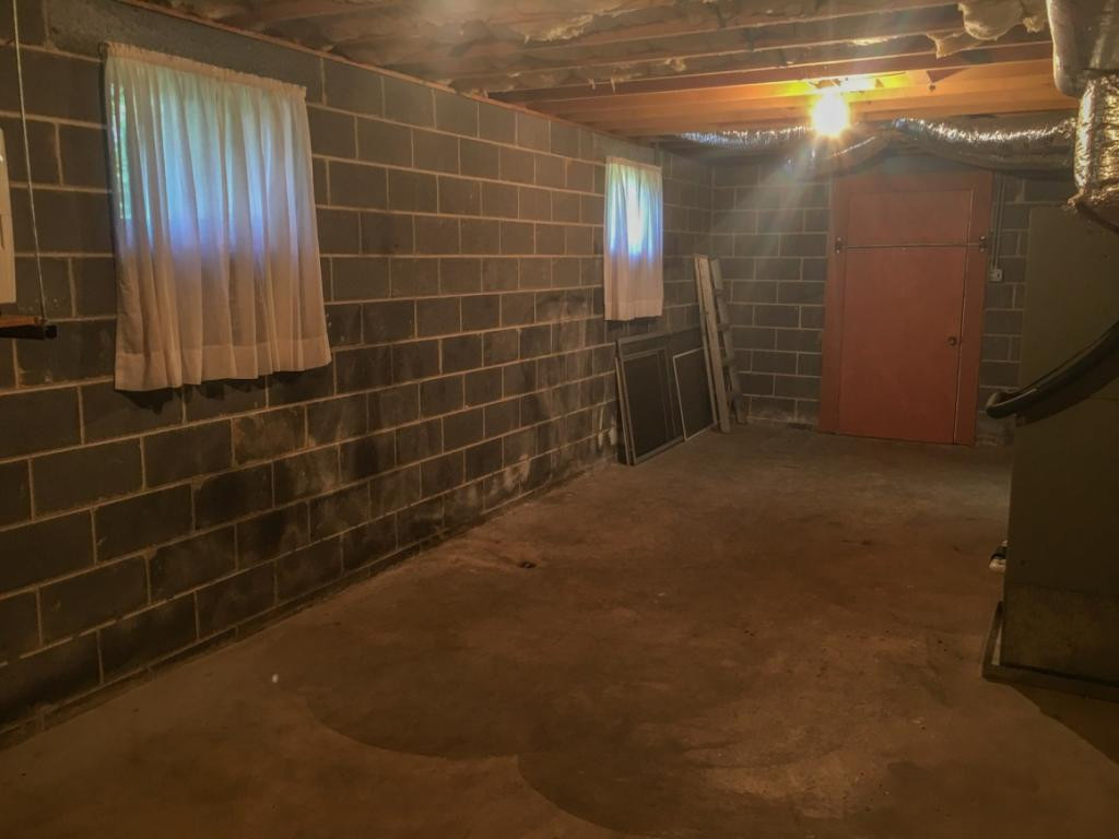 256 Lester Road Blountville, TN 37617 - Photo 15 of 20 Basement storage