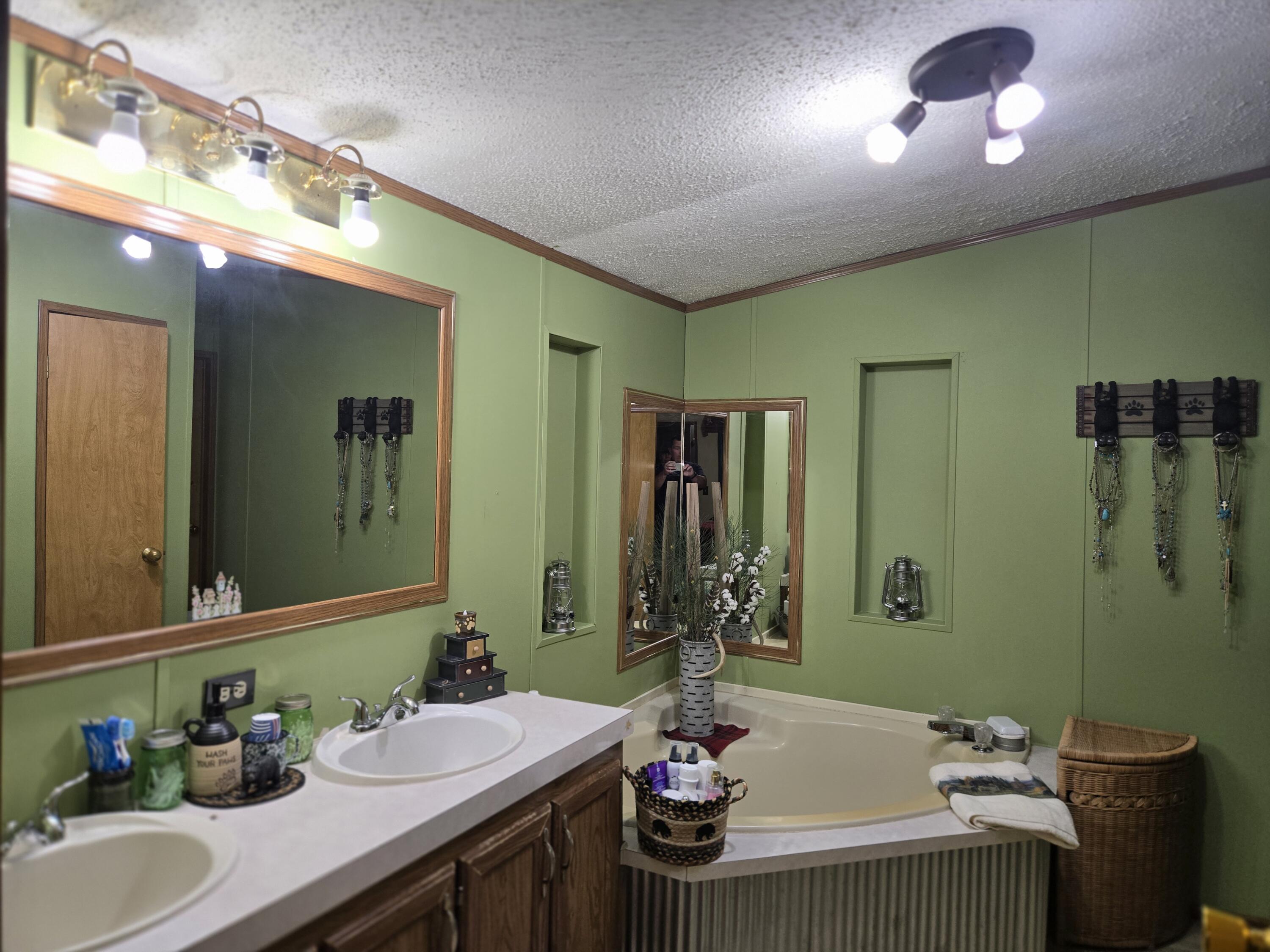 769 Kosmerick Road Bronson, MI 49028 - Photo 36 of 114 Main Bath Large tub