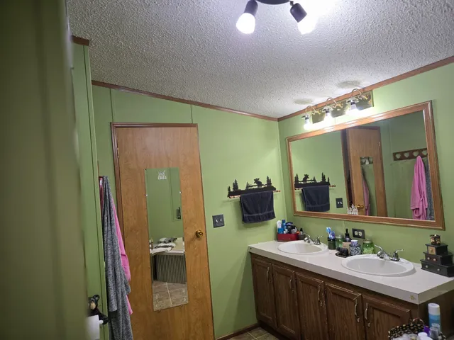 $479,000 | 769 Kosmerick Road, Bronson, MI 49028