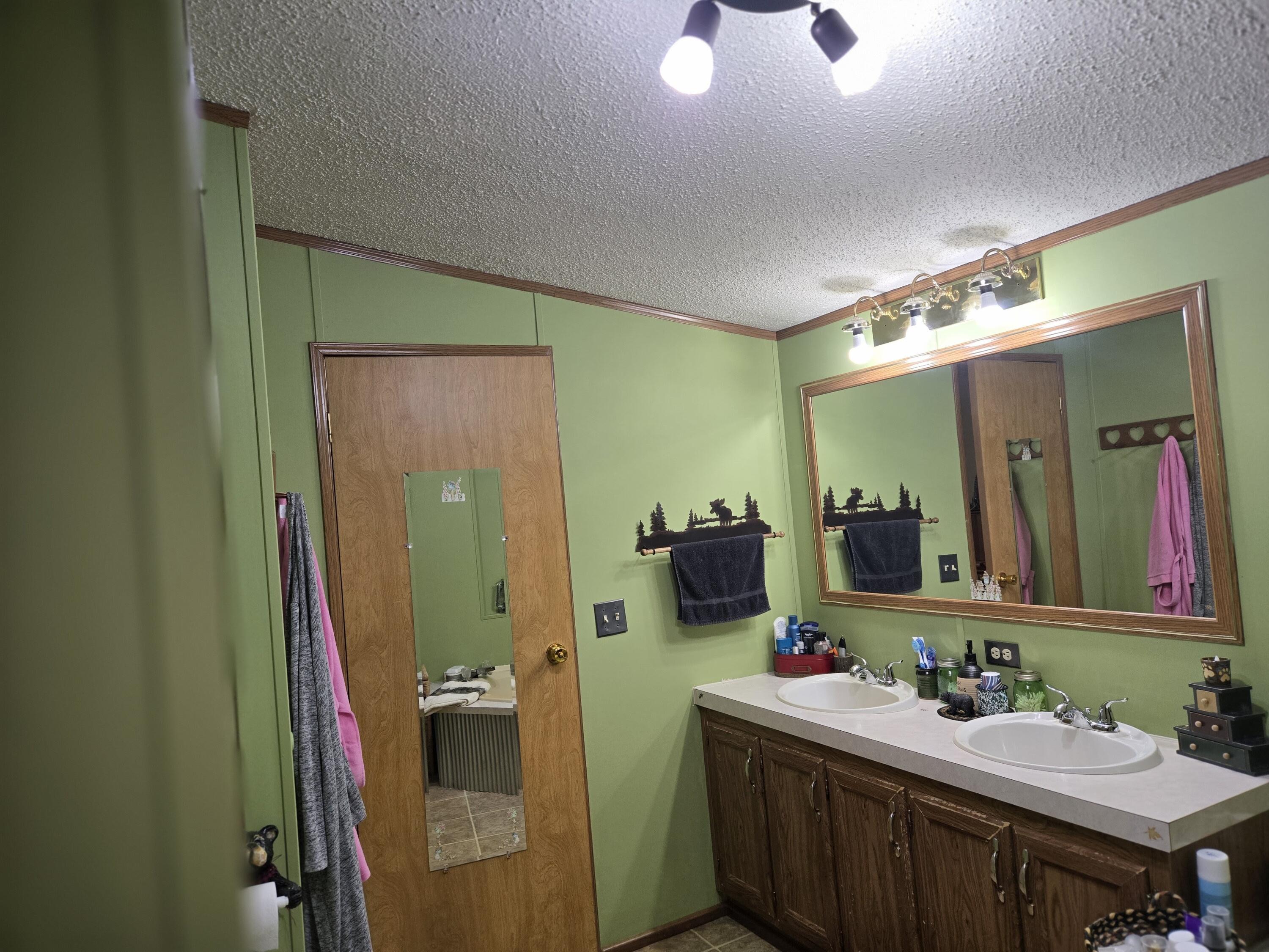 769 Kosmerick Road Bronson, MI 49028 - Photo 37 of 114 main bathroom