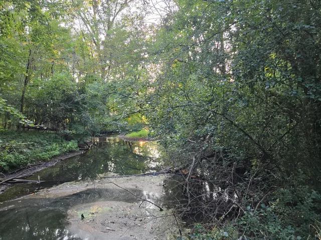 $479,000 | 769 Kosmerick Road, Bronson, MI 49028