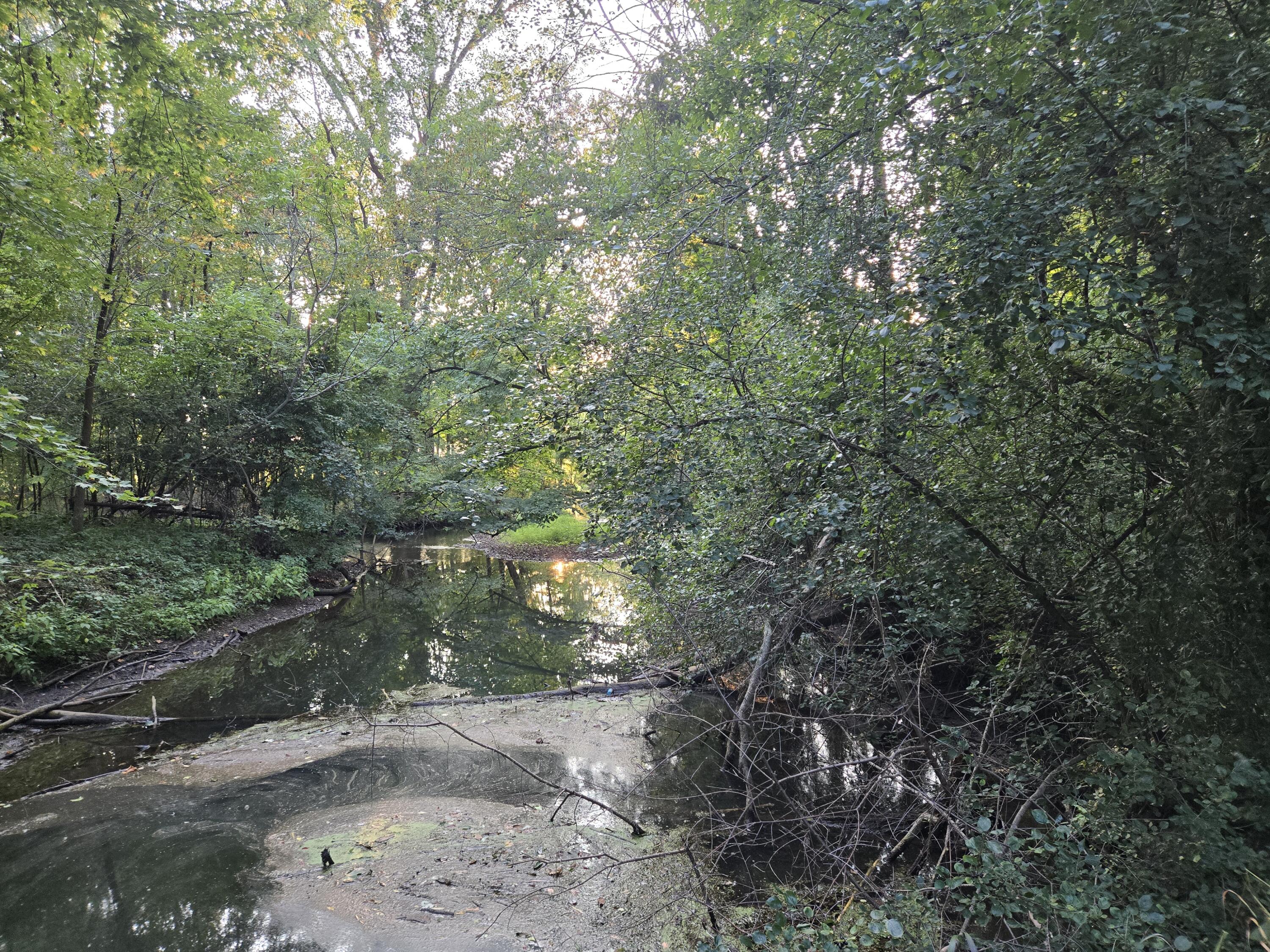 769 Kosmerick Road Bronson, MI 49028 - Photo 55 of 114 The River