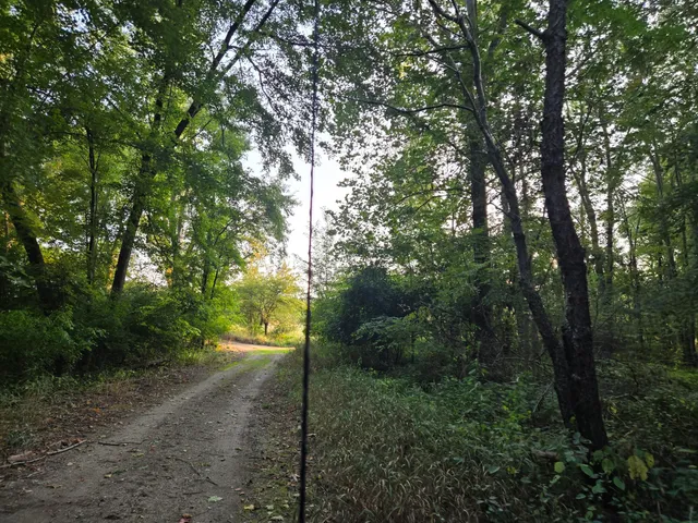 $479,000 | 769 Kosmerick Road, Bronson, MI 49028