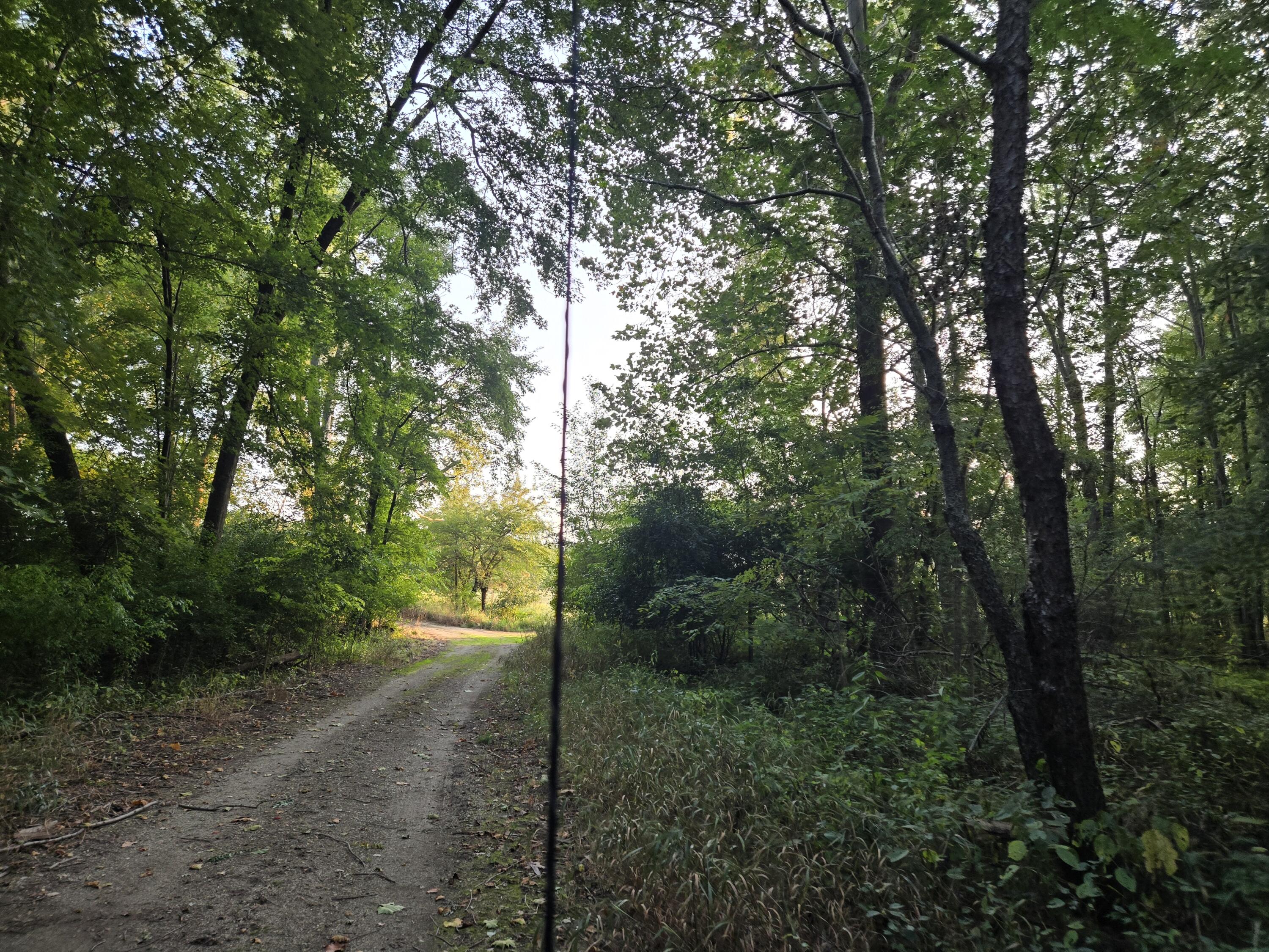 769 Kosmerick Road Bronson, MI 49028 - Photo 57 of 114 20250908_192153