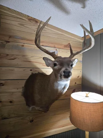 $479,000 | 769 Kosmerick Road, Bronson, MI 49028