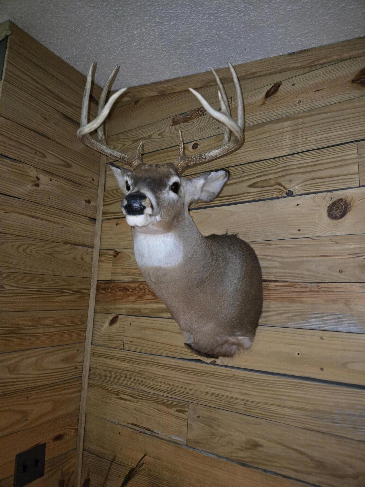 769 Kosmerick Road Bronson, MI 49028 - Photo 59 of 114 20250908_194007