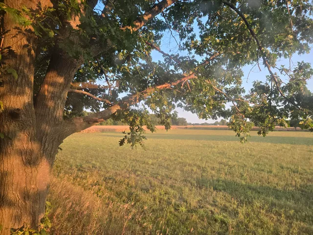 $479,000 | 769 Kosmerick Road, Bronson, MI 49028