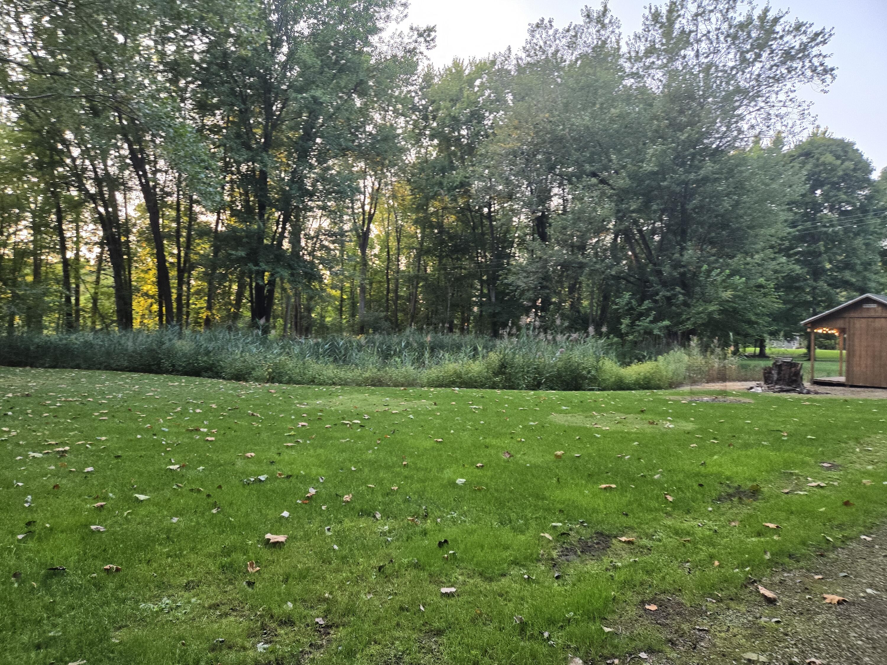 769 Kosmerick Road Bronson, MI 49028 - Photo 71 of 114 20250908_192913