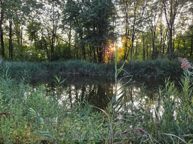 $479,000 | 769 Kosmerick Road, Bronson, MI 49028