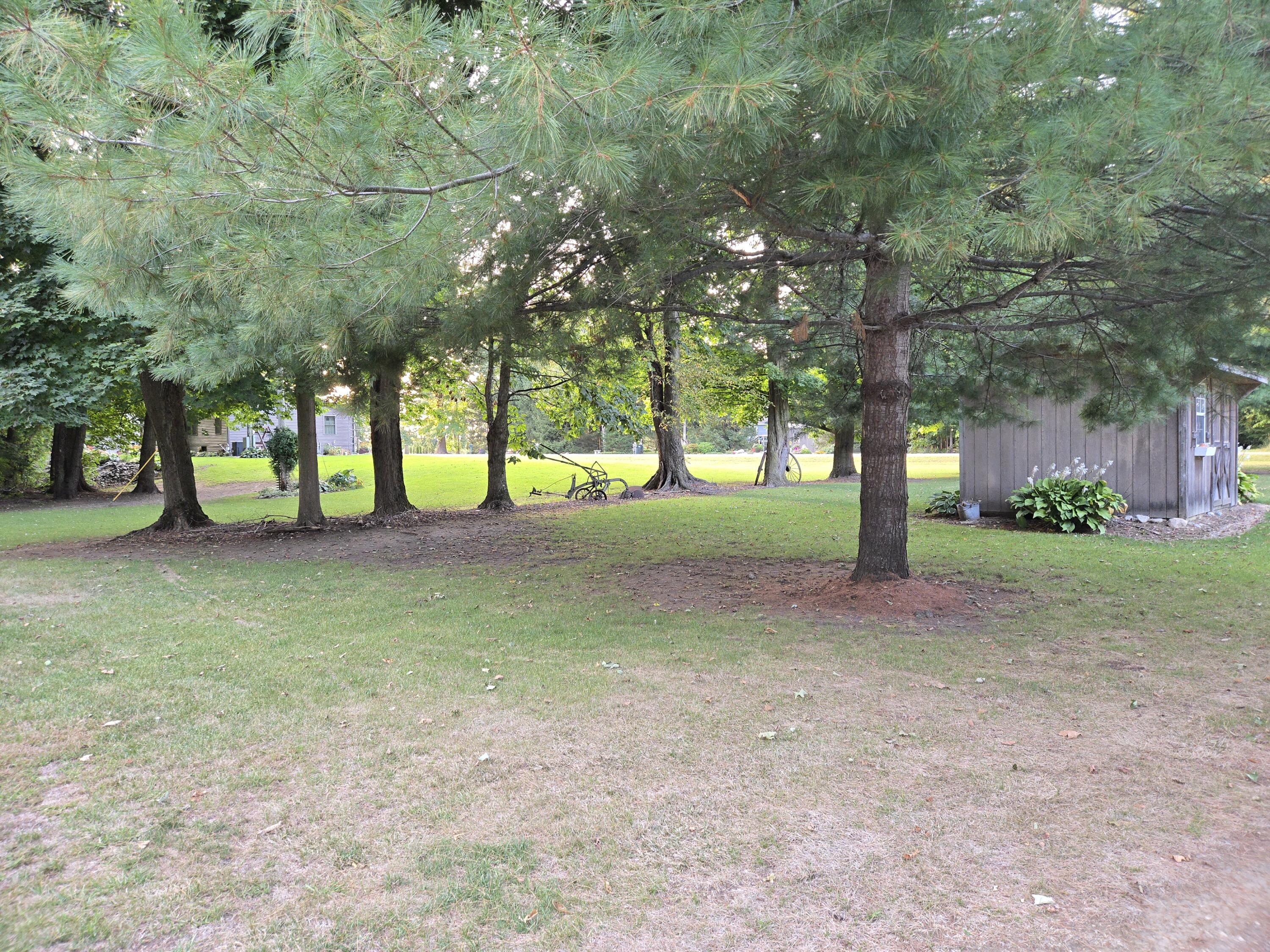 769 Kosmerick Road Bronson, MI 49028 - Photo 88 of 114 more landscaping