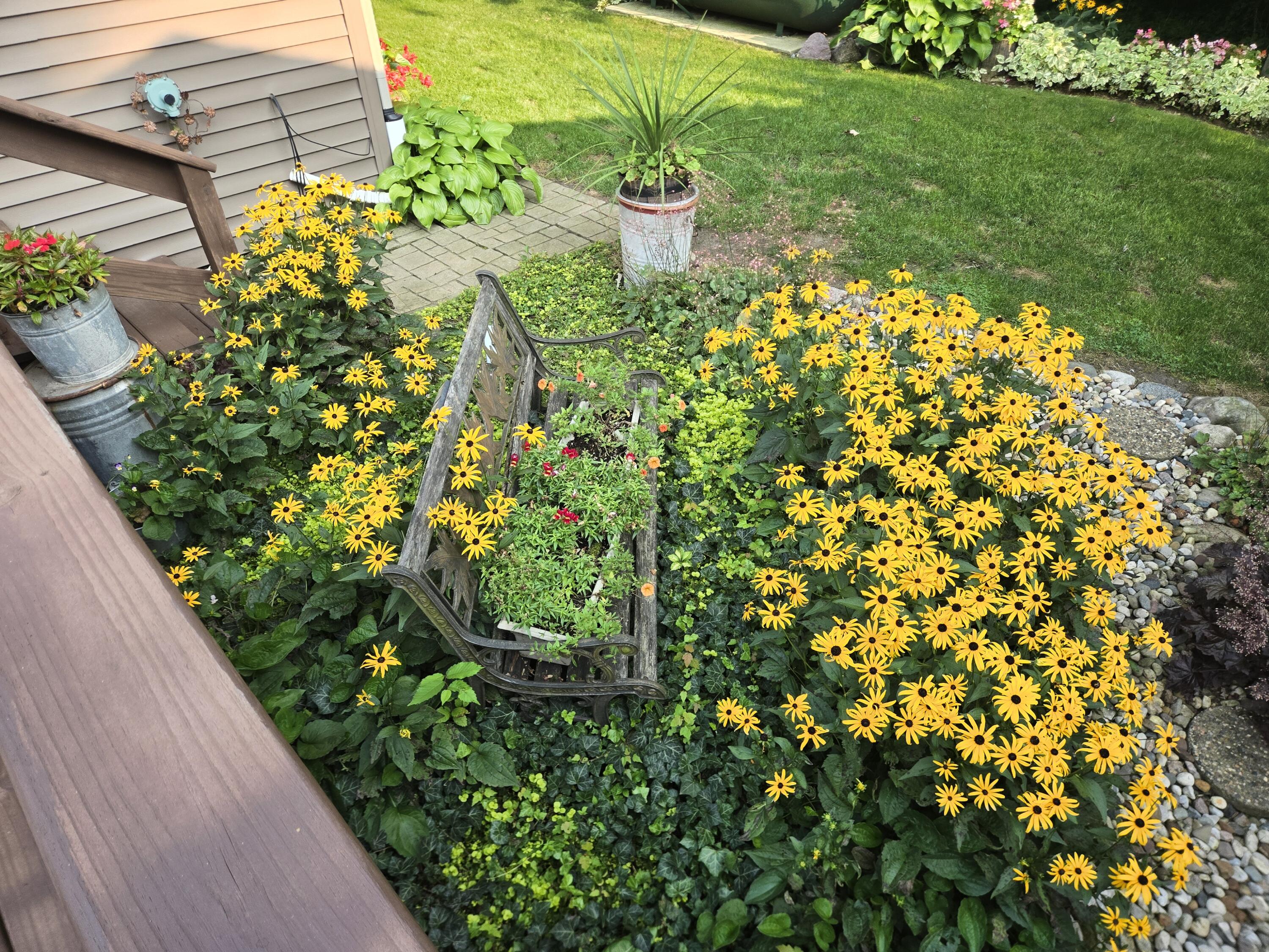 769 Kosmerick Road Bronson, MI 49028 - Photo 9 of 114 20250805_184113