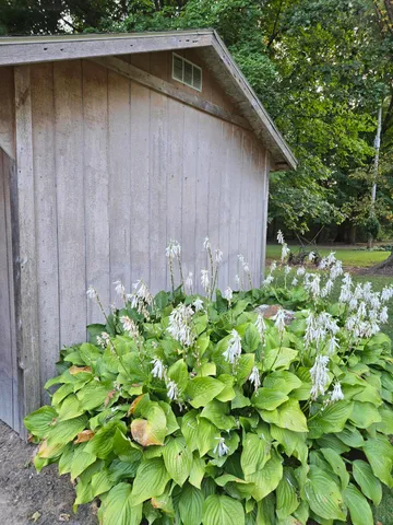 $479,000 | 769 Kosmerick Road, Bronson, MI 49028