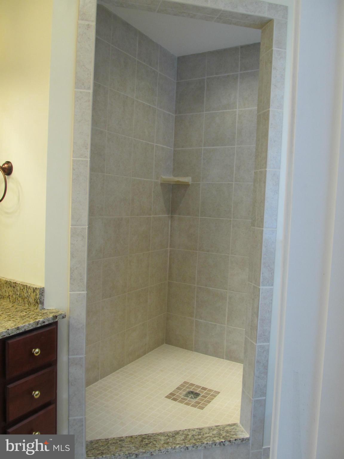 Miles Haven Road Newcomb, MD 21653 - Photo 22 of 30 a bathroom with a granite countertop sink a toilet and shower