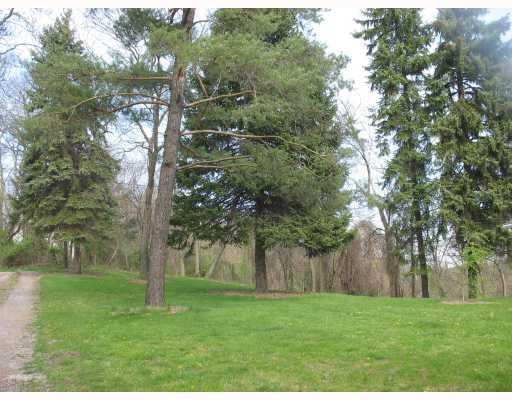 79 Ridge Road Braddock Hills, PA 15221 - Photo 14 of 17 Yard/Garden.