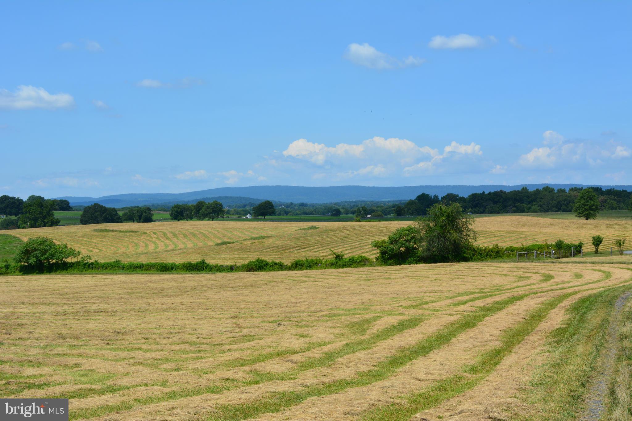 Loughborough Road Upperville, VA 20184 - Photo 1 of 8 View