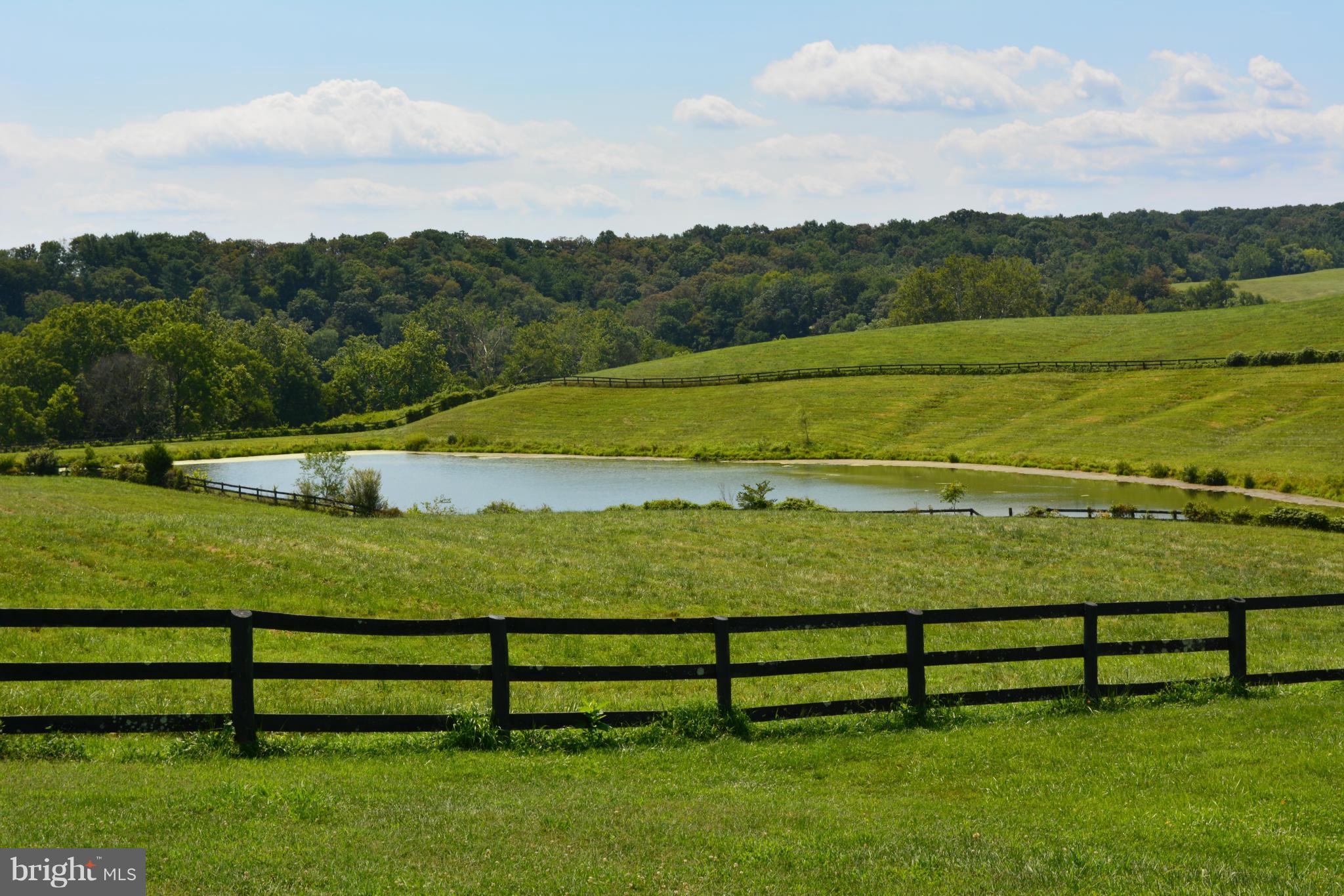 Loughborough Road Upperville, VA 20184 - Photo 2 of 8 View of pond