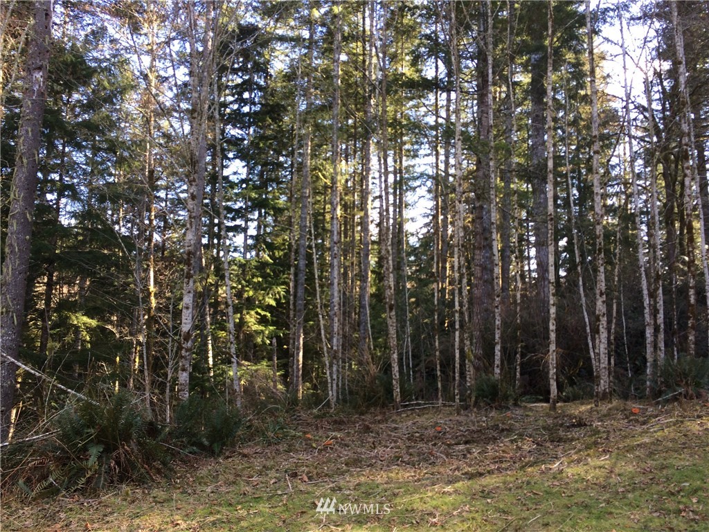0 North Mission Road West Bremerton, WA 98312 - Photo 3 of 16 Gallery Image 3