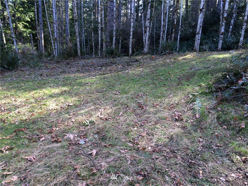 0 North Mission Road West Bremerton, WA 98312 - Photo 4 of 16 Gallery Image 4