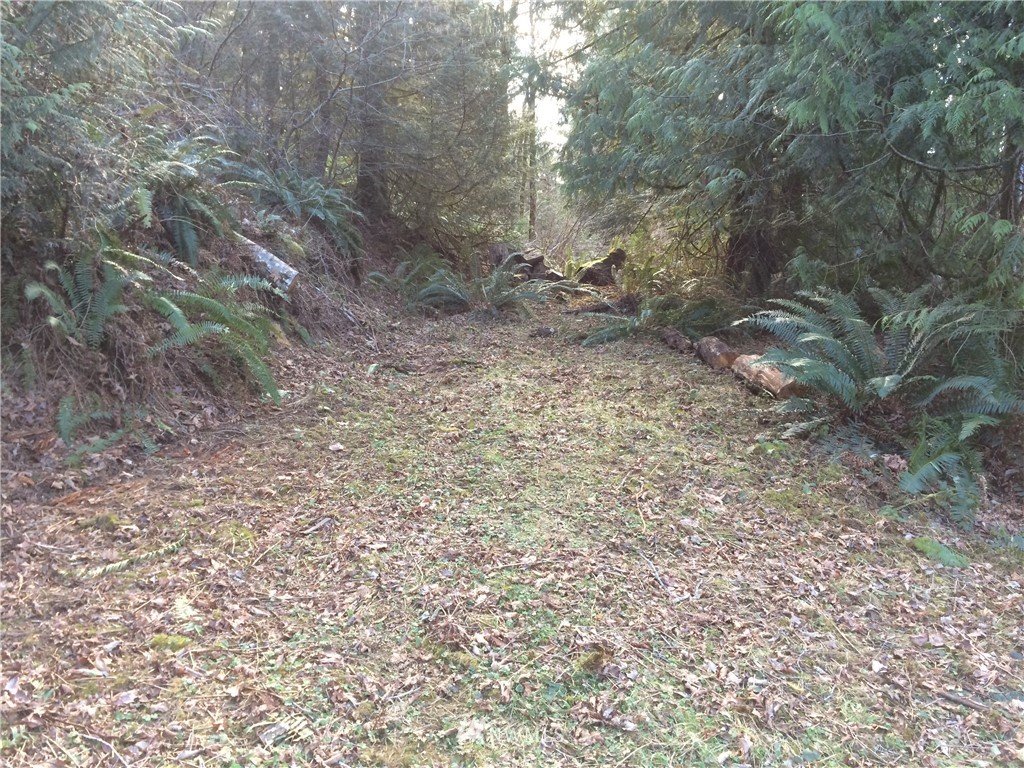 0 North Mission Road West Bremerton, WA 98312 - Photo 7 of 16 Gallery Image 7