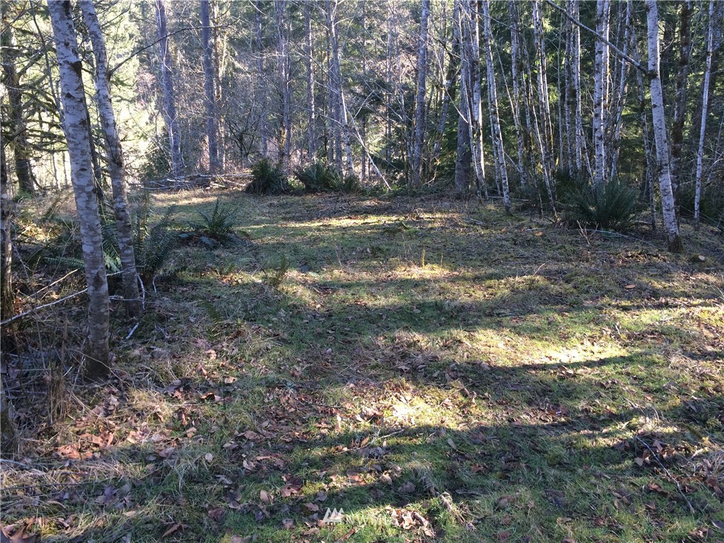0 North Mission Road West Bremerton, WA 98312 - Photo 9 of 16 Gallery Image 9