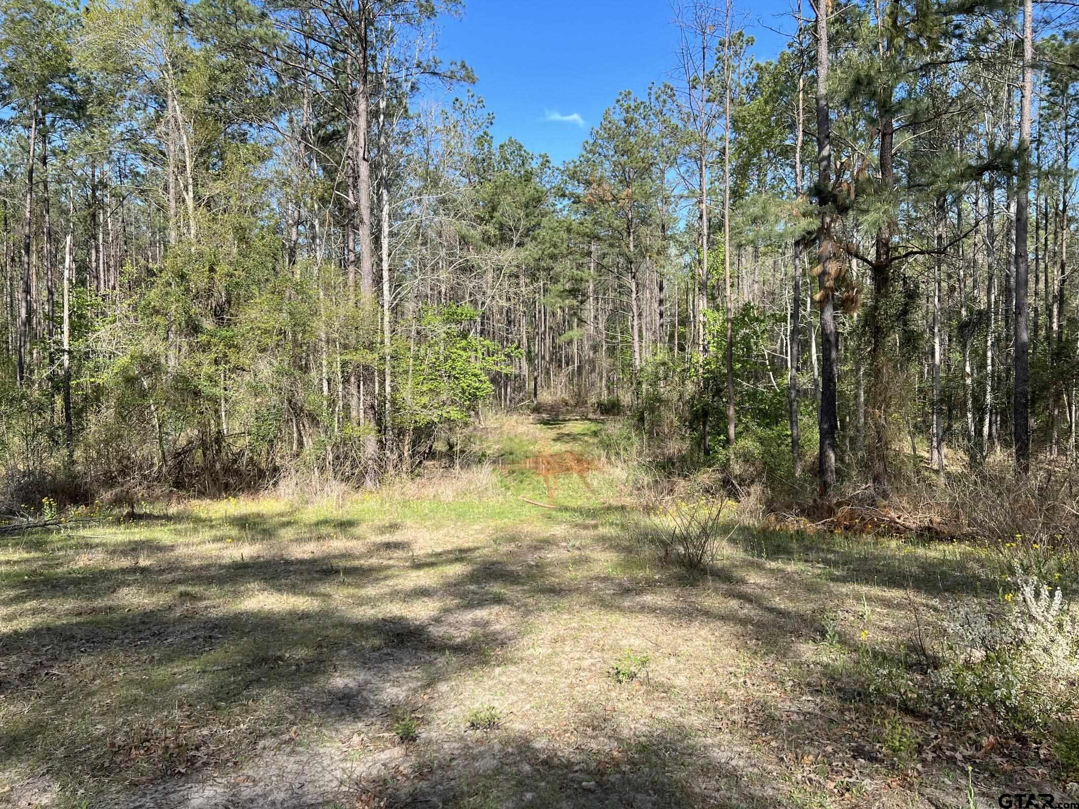 0 C R 434 Lindale, TX 75771 - Photo 11 of 29