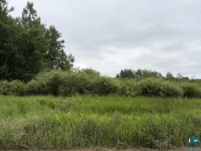 Xx Xx Homestead Road Cromwell, MN 55726 - Photo 5 of 6