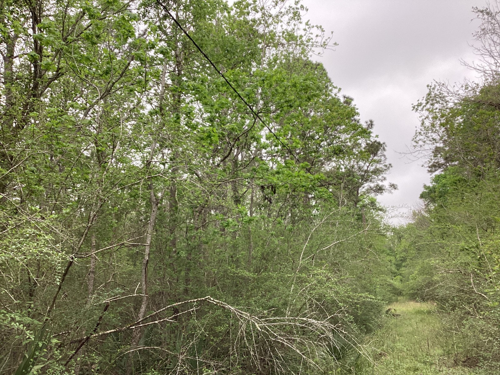 0 County Road 4876 Dayton, TX 77535 - Photo 11 of 42 a view of a bathroom