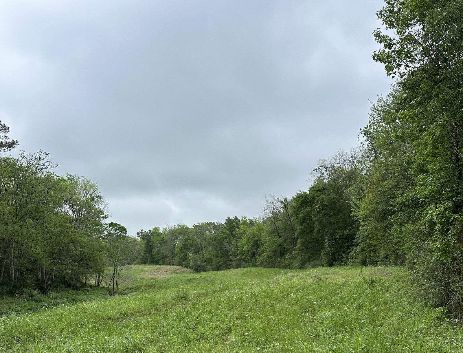 0 County Road 4876 Dayton, TX 77535 - Photo 20 of 42 a view of a field with trees in the background