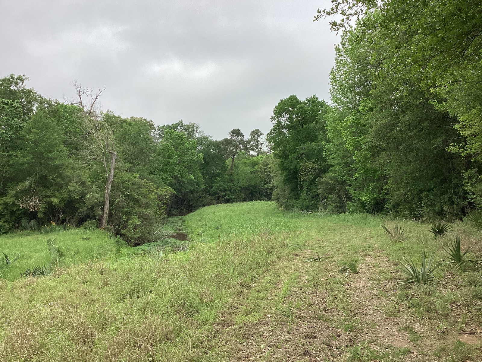 0 County Road 4876 Dayton, TX 77535 - Photo 25 of 42 a view of a lush green space
