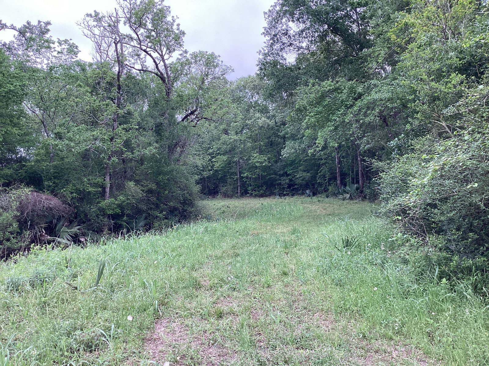 0 County Road 4876 Dayton, TX 77535 - Photo 35 of 42 a view of a yard