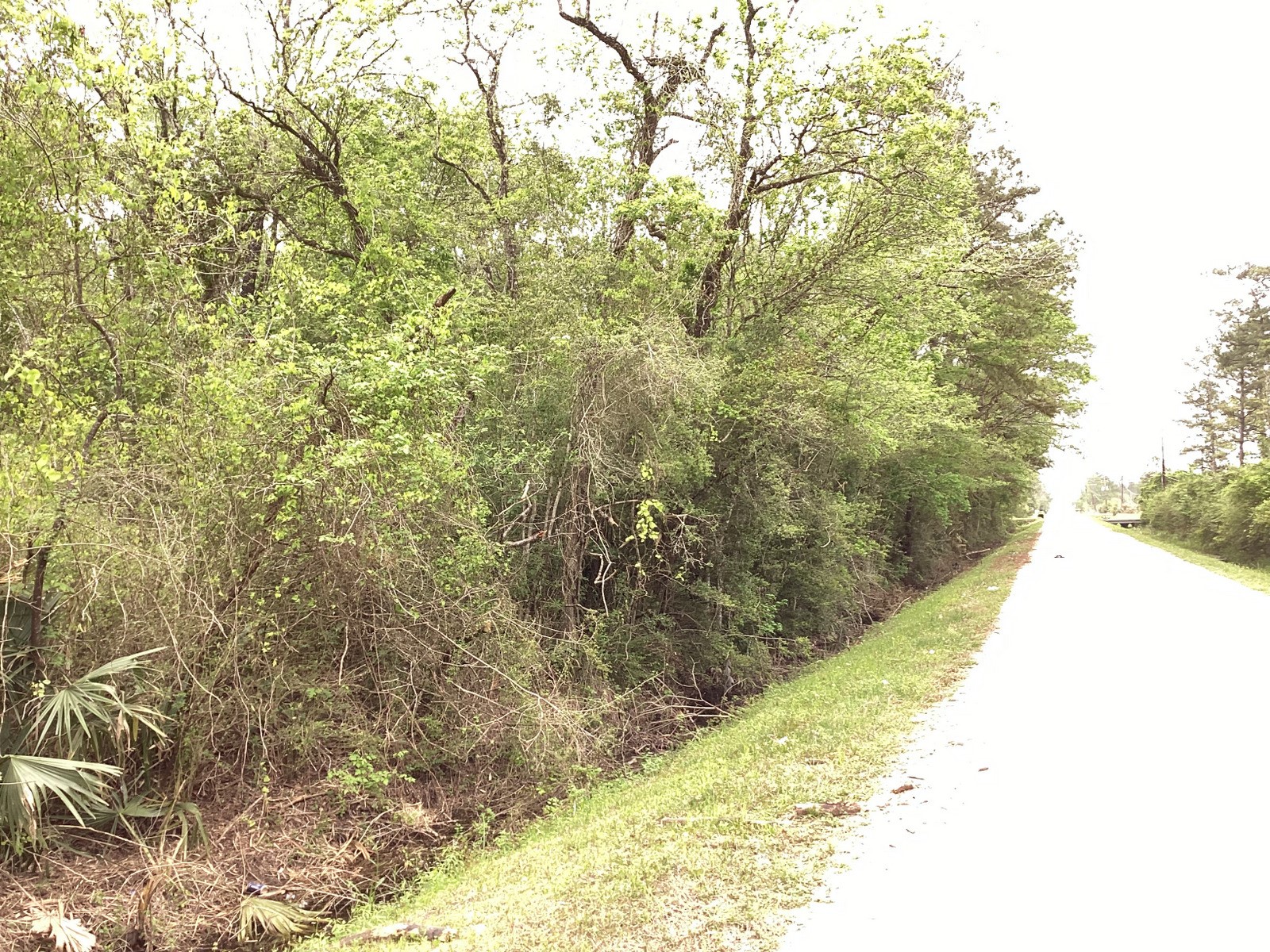 0 County Road 4876 Dayton, TX 77535 - Photo 6 of 42 a view of a yard with wooden fence