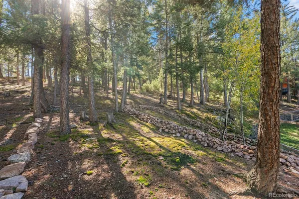 $840,000 | 27882 Bonanza Drive, Evergreen, CO 80439