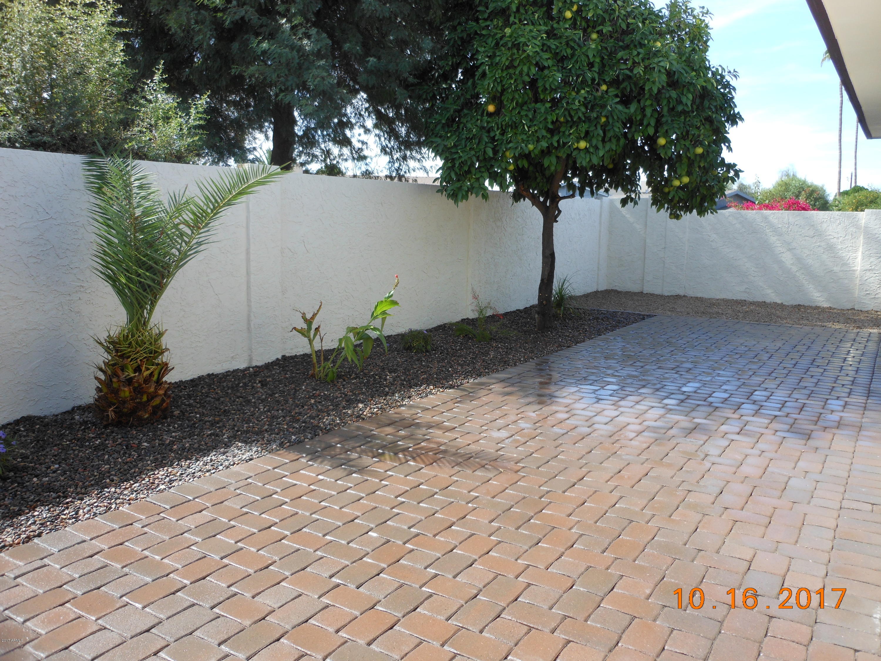 3045 West Hearn Road Phoenix, AZ 85053 - Photo 27 of 31 Back Yard