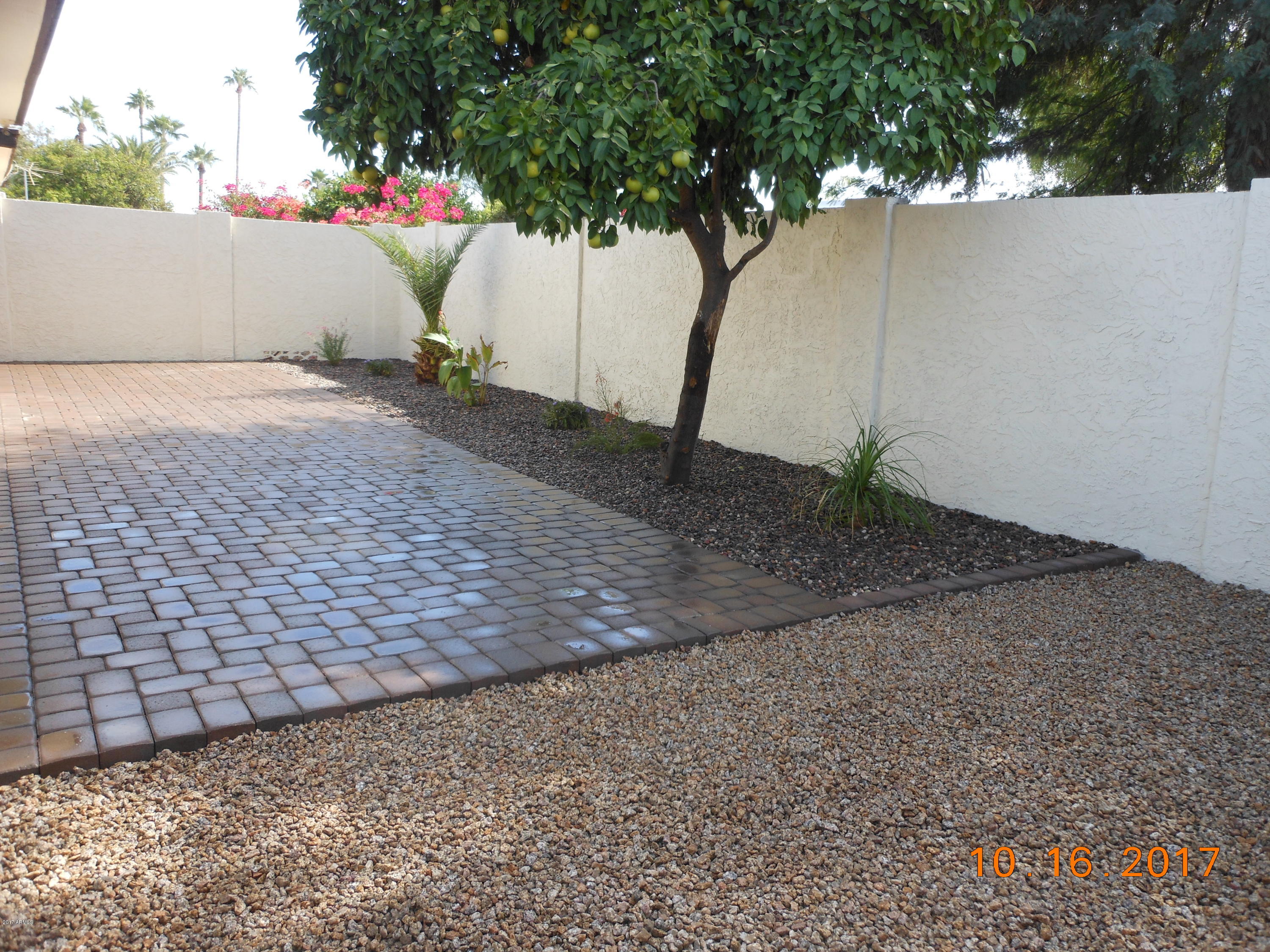 3045 West Hearn Road Phoenix, AZ 85053 - Photo 28 of 31 Back Yard