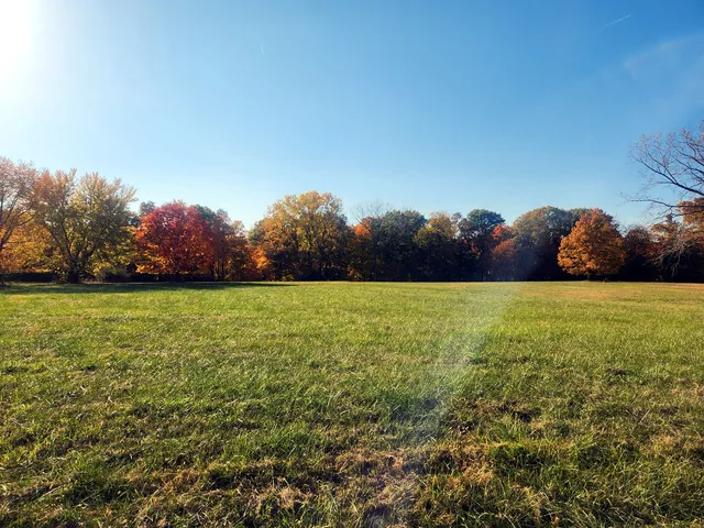 a view of swimming pool