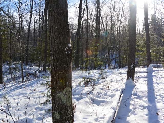 Lot 2 Hixon Road Minocqua, WI 54548 - Photo 10 of 14 Gallery Image 10