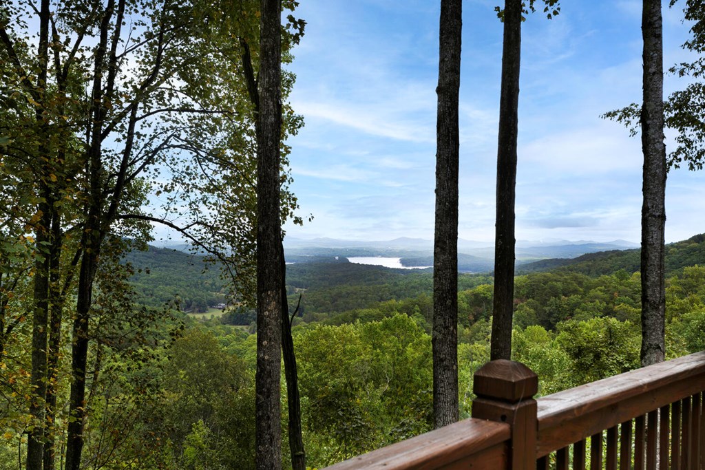 251 Ridge Circle Blue Ridge, GA 30513 - Photo 11 of 41 a view of a city from a balcony