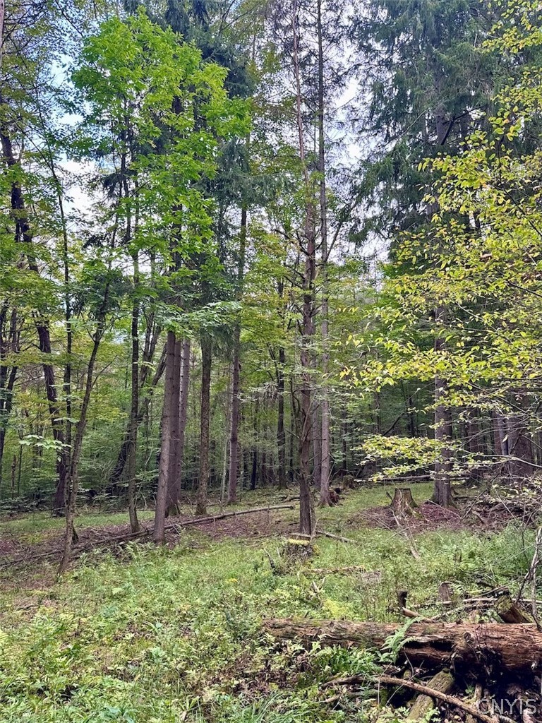 East Road Angelica, NY 14709 - Photo 17 of 23 Gallery Image 17