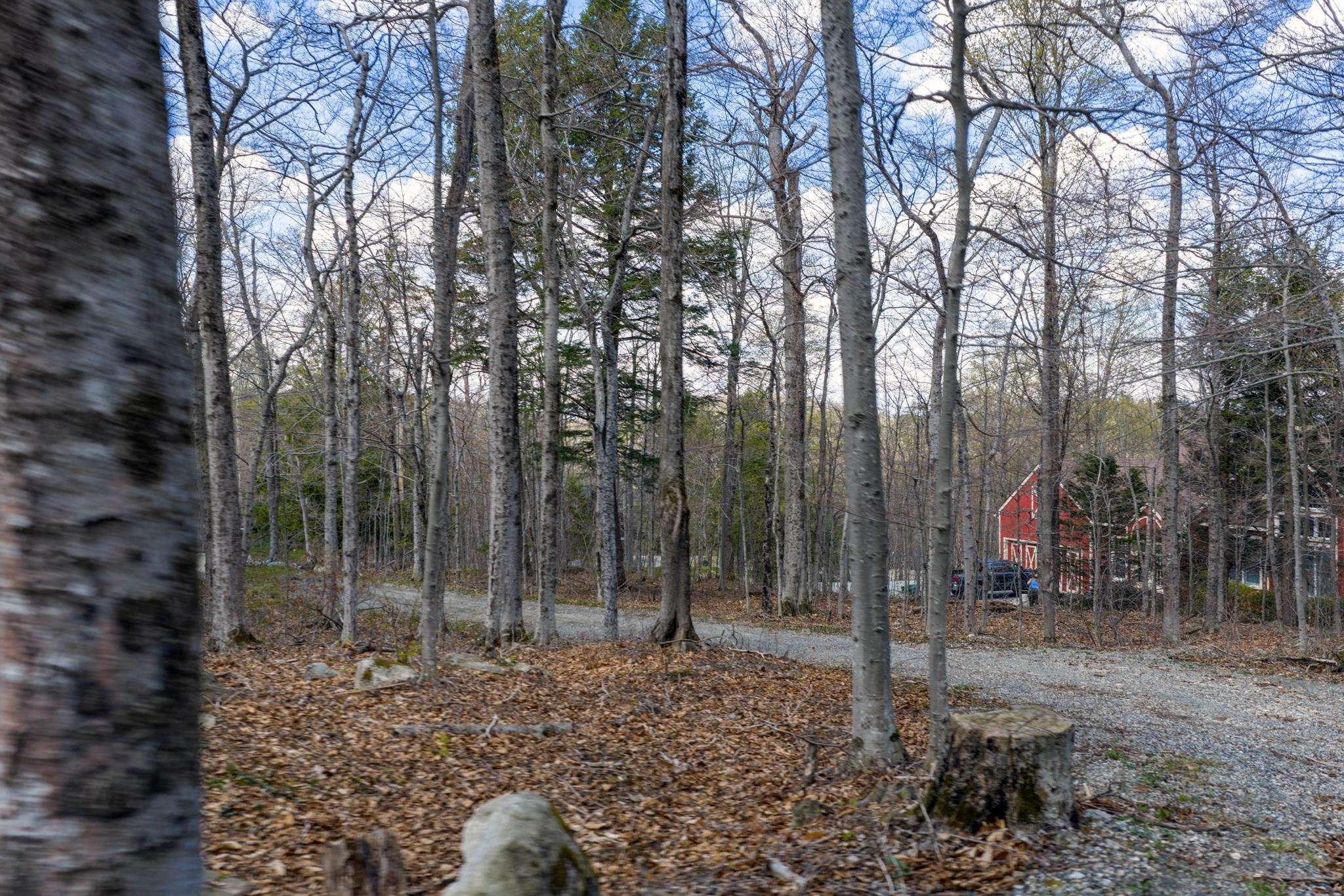 19 Maple Hill Road Winhall, VT 05340 - Photo 32 of 32 Gallery Image 32