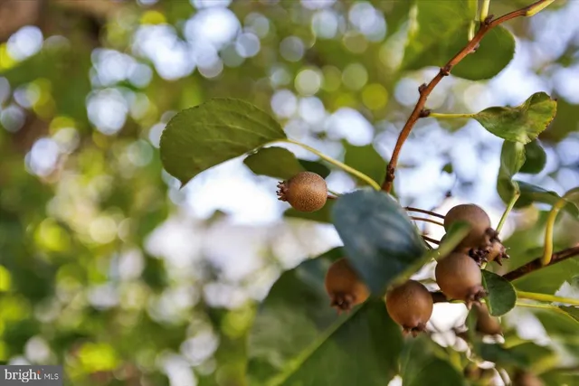 $585,000 | 5906 West Copper Mountain Drive, Spotsylvania, VA 22553