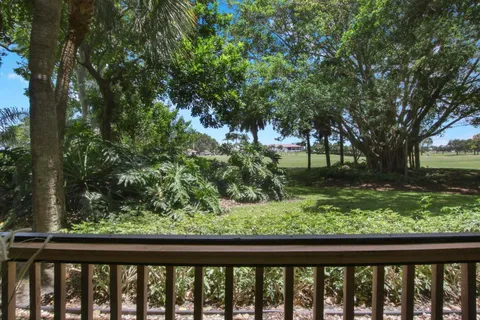 a view of a garden from a window