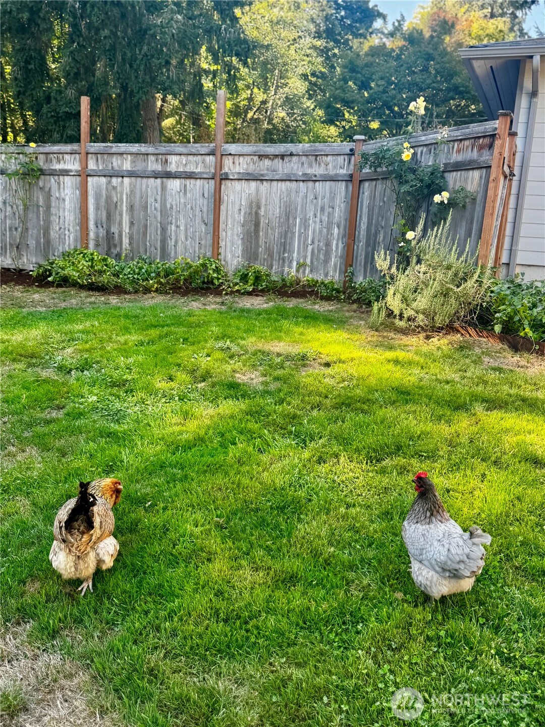 10414 Southwest 110th Street Vashon, WA 98070 - Photo 33 of 37