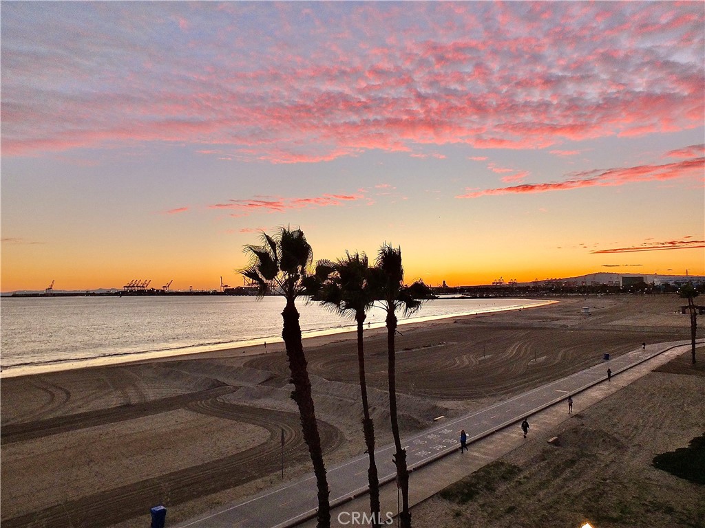 1700 Bluff Place, Unit 1 Long Beach, CA 90802 - Photo 43 of 45 a view of an ocean and beach