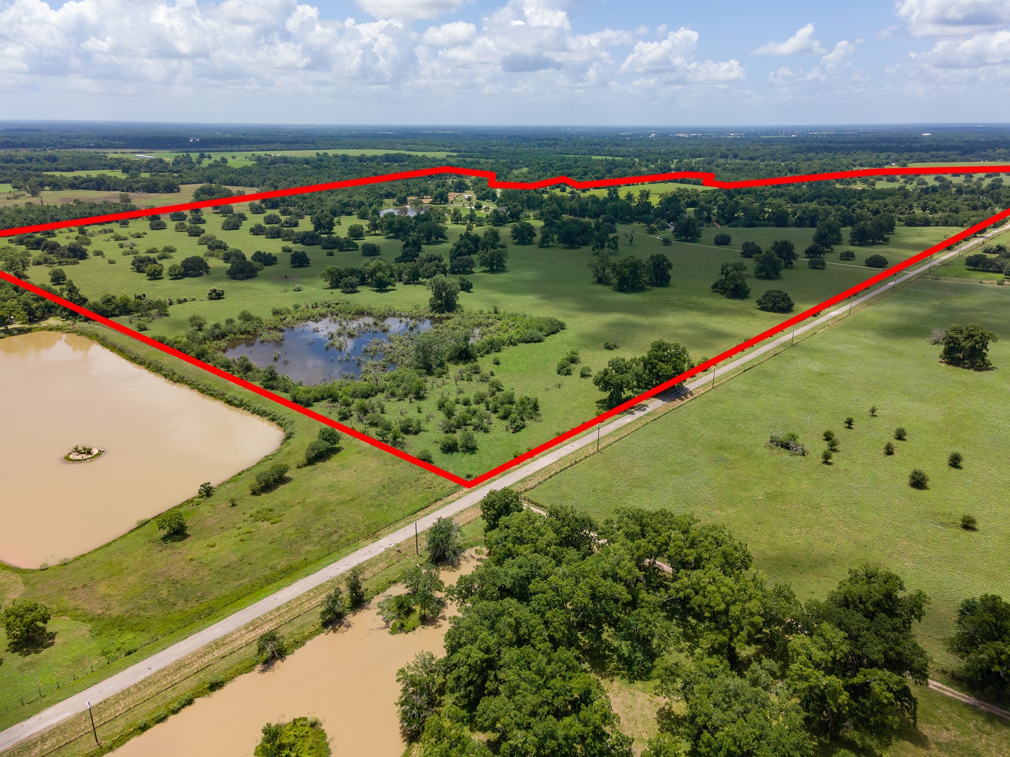 2908 Robichaux Road Pattison, TX 77423 - Photo 6 of 50 a view of a bunch of flowers and flowers