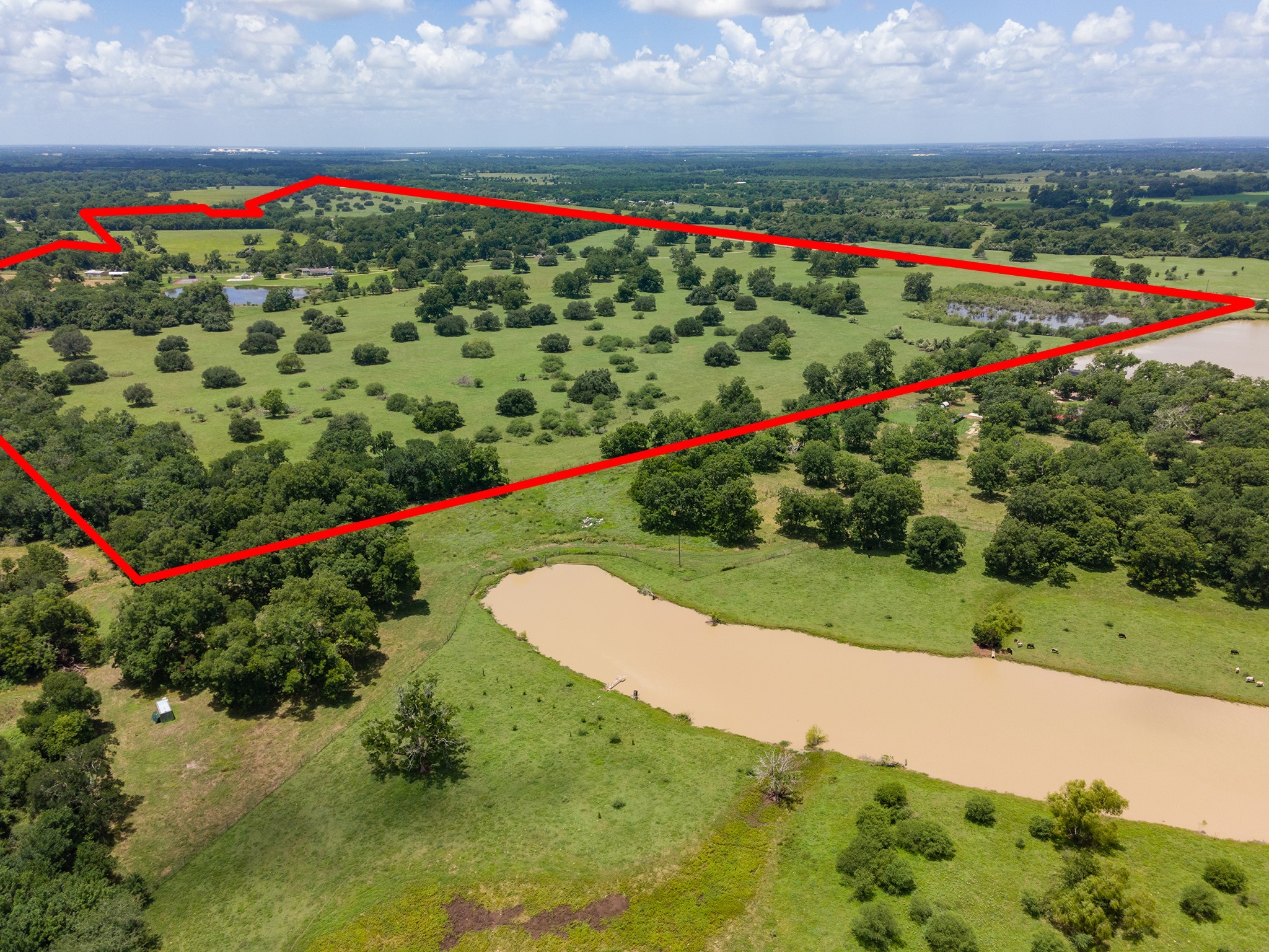 2908 Robichaux Road Pattison, TX 77423 - Photo 8 of 50 a view of a garden with flowers and flowers