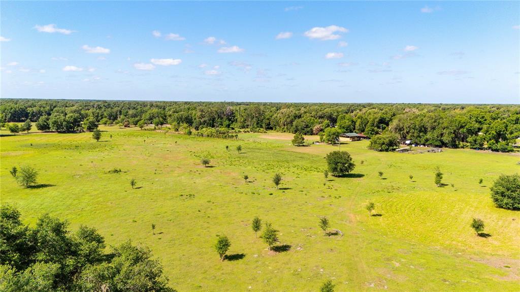 12237 County Road 727 Webster, FL 33597 - Photo 26 of 38